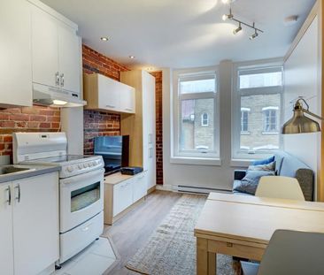 Loft entièrement meublé à louer Saint-Jean-Baptiste août 2026 - Photo 4