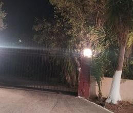 Διαμέρισμα για ενοικίαση - Μεσσήνη, - Photo 5