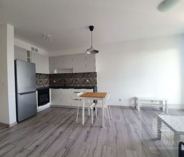 Nowe 2 pokoje na wynajem, Małe Błonia - Photo 1