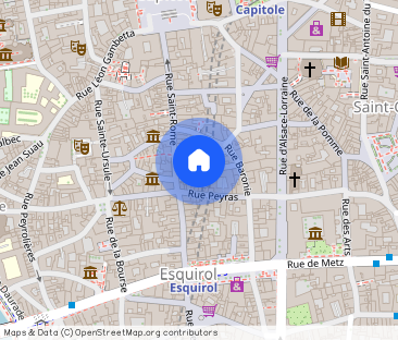 Location Appartement T2 Toulouse 1 chambre - Photo 1