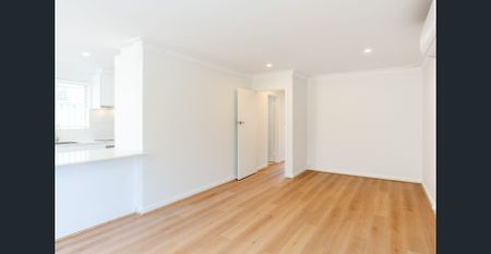 FULLY RENOVATED...CHOICE OF 2 PROPERTIES - Photo 2