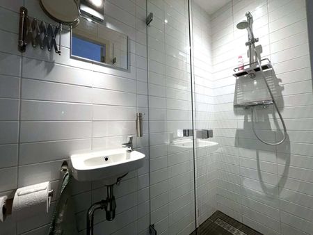 Bulthuisweg, Loenen aan de Vecht, Nederland - Photo 4