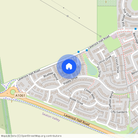 Primrose Gardens, Blyth, NE24