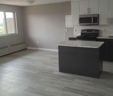 1 Humber Court — 1 Bedroom Deluxe - Photo 6