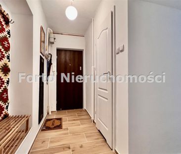 Chorzów, Klimzowiec, Krzywa - Photo 6