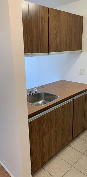 1 CH - 1 SDB - Montréal - $1,245 /mo - Photo 1