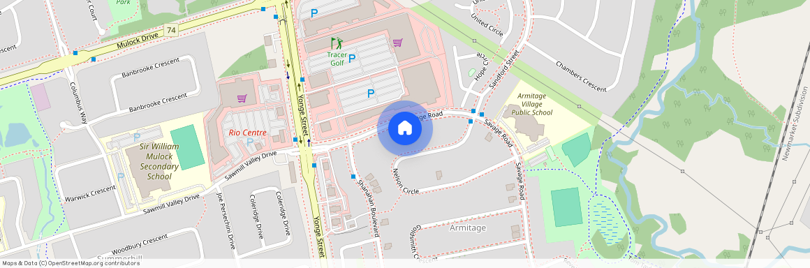 60 Savage Road Unit# Basement A, Newmarket