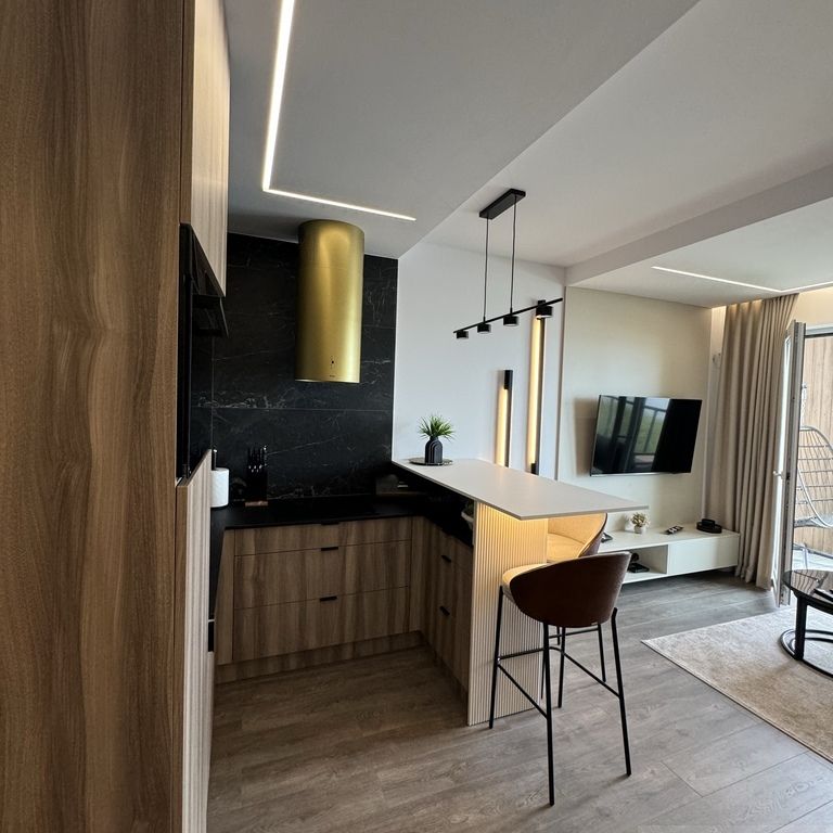 apartament nad jeziorem Dąbskim z miejscem parking (427518) - Zdjęcie 1