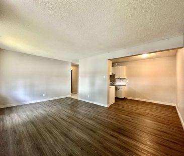 Bright and Updated 2 Bedroom Apartments - Photo 3
