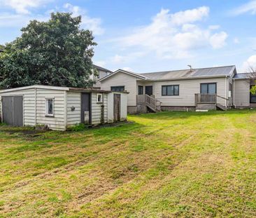 Brand New Home & Massive Section - Photo 4