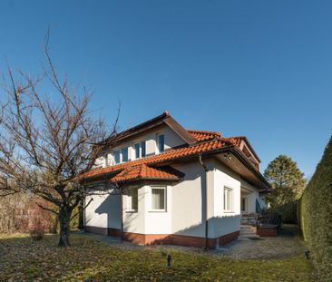 Dom z ogrodem na Kabatach - Zdjęcie 6