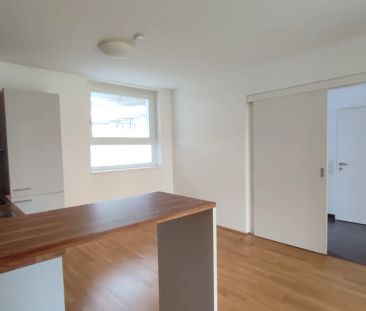 SQUADRO- mitten im Grünen, mitten in der Stadt - Foto 3