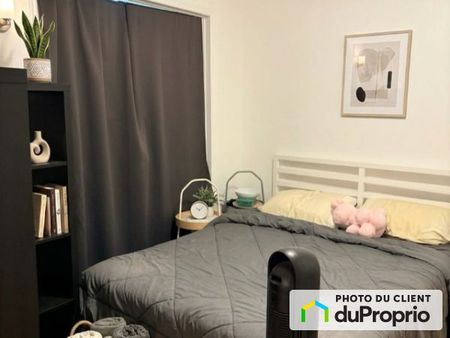 4275, bordeaux, Le Plateau-Mont-Royal à louer - Photo 4