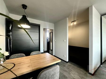 Jasne Błonia kawalerka na wynajem po remoncie (439119) - Zdjęcie 5