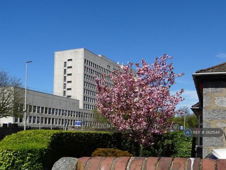 4 bedroom semi-detached house to rent - Photo 2