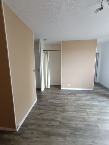 Location Appartement 1 pièce 30m² VIERZON 18100 - Photo 2