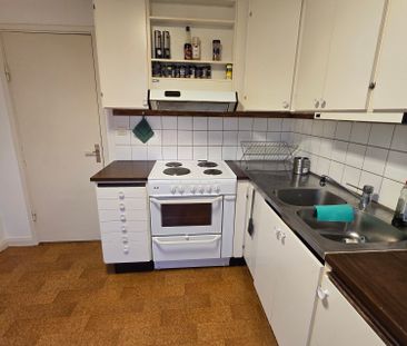 Fågelvägen, Äng - Photo 2