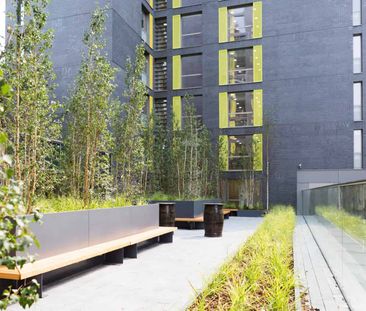 Bronze Studio Mid Level - Photo 4