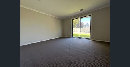 4 bedrooms plus study & 3 living areas - Photo 3