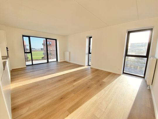 Otto Sterns Have 4, 4. 5, 9220 Aalborg Øst - Photo 1