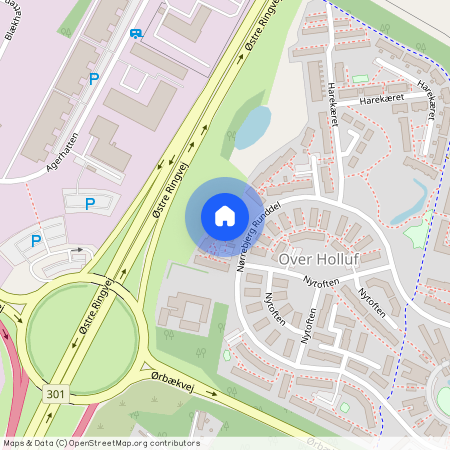 Nørrebjerg Runddel 230, 5220 Odense SØ