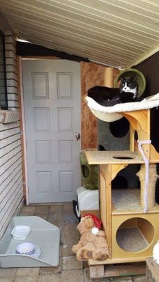 Upper Coomera - Photo 1