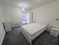 Apt 4.05 :: Ice Plant - Photo 4