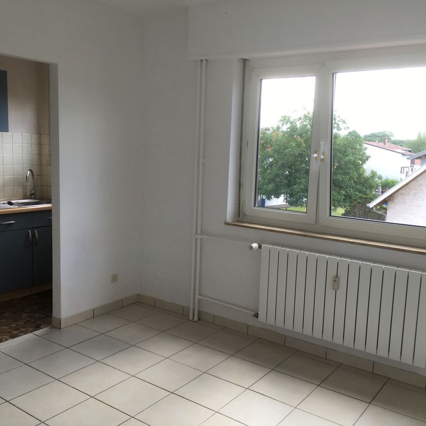 Location Appartement 1 pièce 22m² SARREGUEMINES 57200 - Photo 1