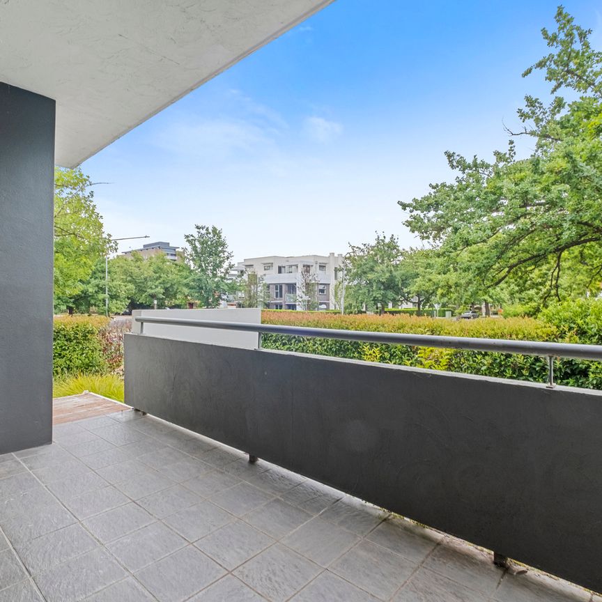14/30 Ijong Street, Braddon ACT 2612 - Apartment For Rent | Domain - Photo 1