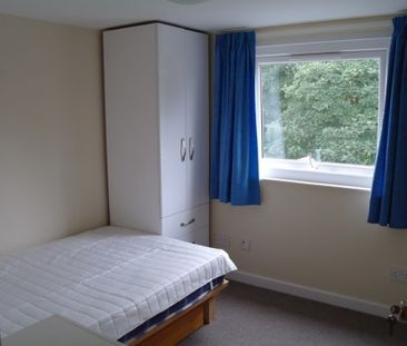 37 ALTON ROAD - Photo 3