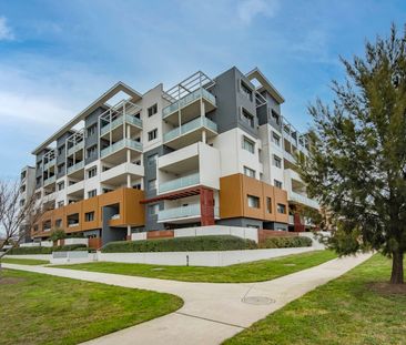 75/2 Peter Cullen Way, Wright ACT 2611 - Apartment For Rent | Domain - Photo 4