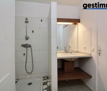 Location Appartement 2 pièces 29m² CAYENNE 97300 - Photo 5