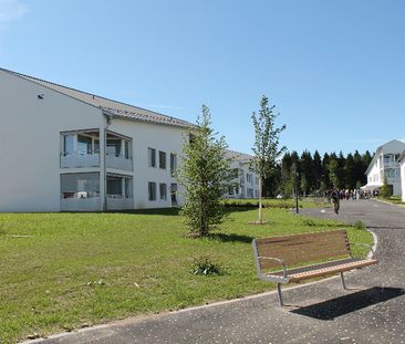 Magnifique logement 3 pièces au rez-de-chaussée à louer à Lausanne. - Photo 2