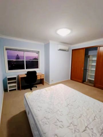 16A Norton St, Sydney - Photo 5