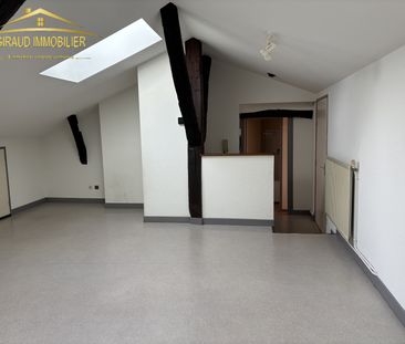 CHARLIEU T2 RUE CARABI - Photo 6