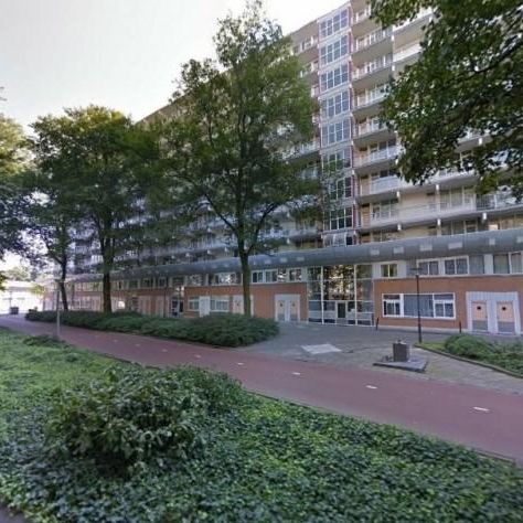 Hoogoord 0ong, 1102 CE Amsterdam, Nederland - Photo 2