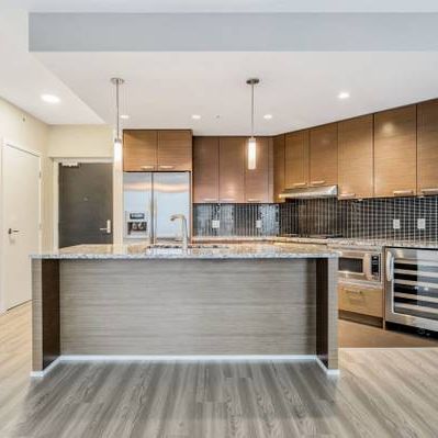 Metrotown luxury large 1 bedroom - Photo 3