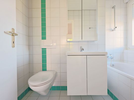 Magnifique appartement 4p / 2 ou 3 chambres / Vue imprenable lac et montagnes - Foto 1