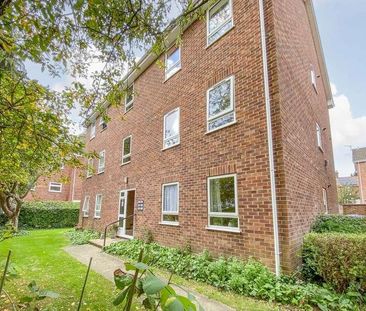 Howard Mews, Norfolk, NR3 - Photo 2