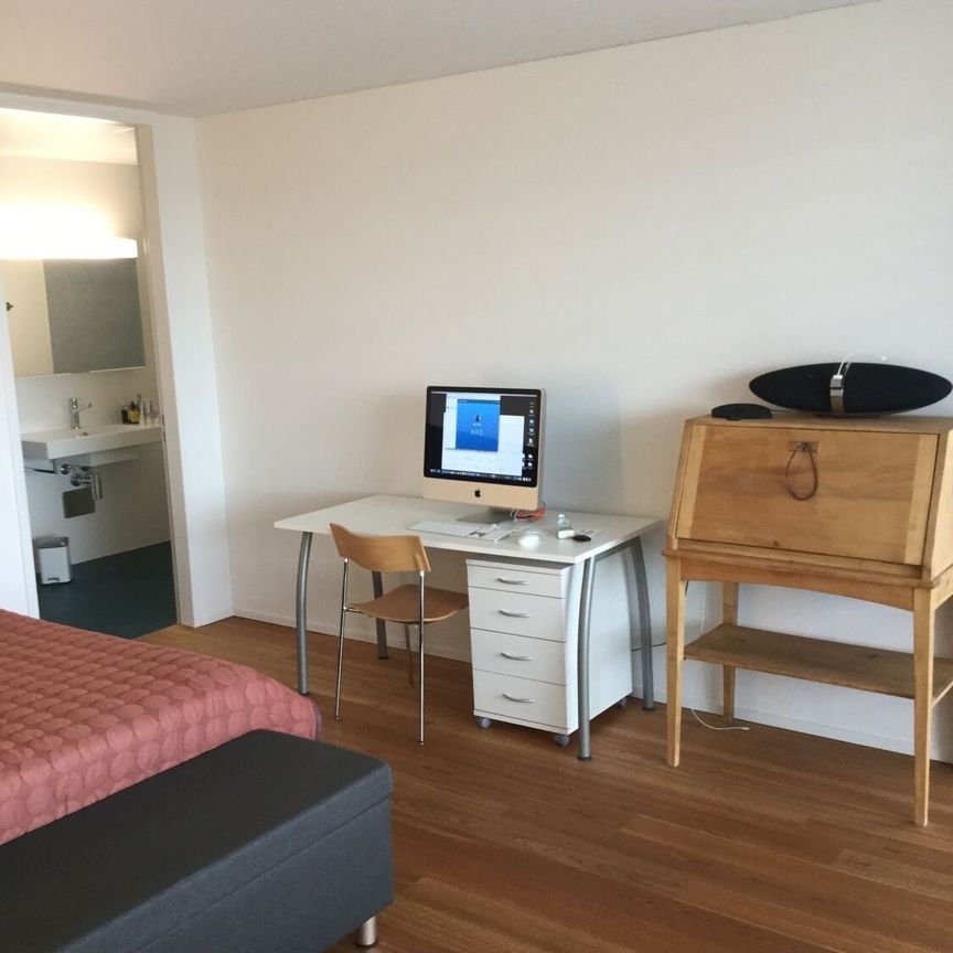 21/2-ROOM APARTMENT IN BERN - WABERN, FURNISHED, TEMPORARY - Photo 1