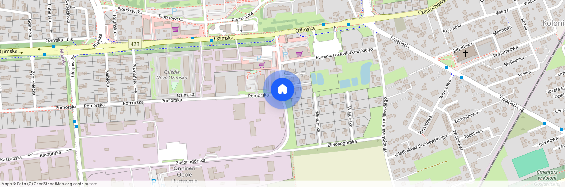 ul. Harcmistrza Aleksandra Kamińskiego, Kolonia Gosławicka, Opole, opolskie