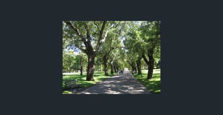 Hidden Treasure - Photo 4