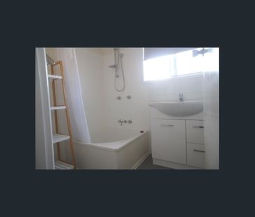 FAMILY HOME ON HUGE BLOCK IN CENTRAL PARADISE POINT - Photo 5