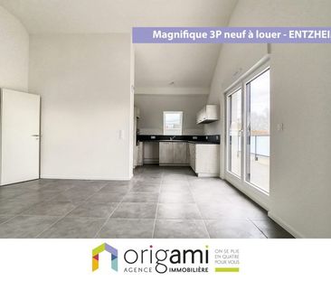 ENTZHEIM - Magnifique 3P au dernier étage - Photo 1