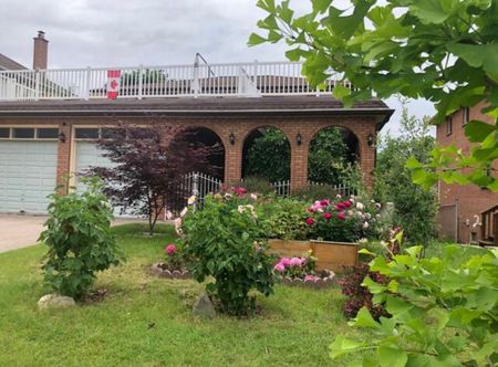 For Lease - 115 Briggs Avenue Unit# Bedroom, Richmond Hill, Ontario - Photo 5