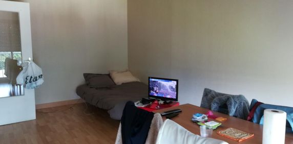 Location Appartement 1 pièce Meublé 30m² FLERS 61100 - Photo 2