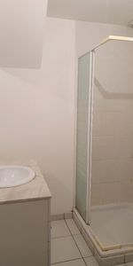 Location Appartement 1 pièce 41m² ST MARS LA JAILLE 44540 - Photo 4