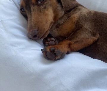 Alexandra Headland - Photo 3