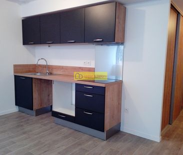 Location Appartement 2 pièces 43m² - Photo 3