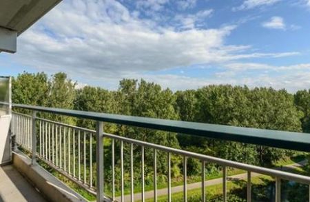 Groningensingel 6835 EA Arnhem - Photo 5